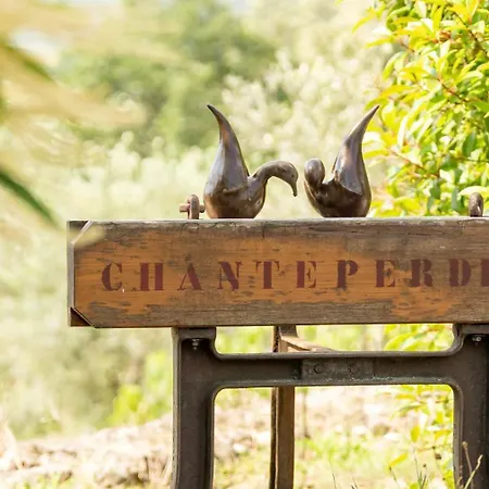 Domaine De Chanteperdrix *